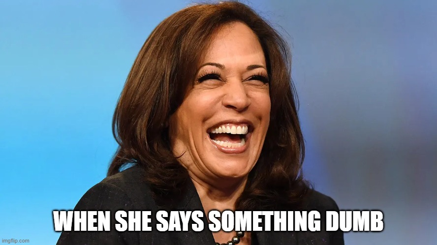 Kamala Cackle | WHEN SHE SAYS SOMETHING DUMB | image tagged in kamala cackle | made w/ Imgflip meme maker