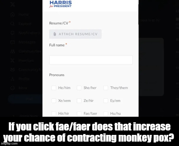 Kamala's 9 Pronoun Options | If you click fae/faer does that increase your chance of contracting monkey pox? | image tagged in kamala's 9 pronoun options,monkeypox | made w/ Imgflip meme maker