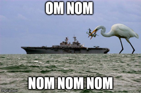 OM NOM  NOM NOM NOM | image tagged in osprey | made w/ Imgflip meme maker