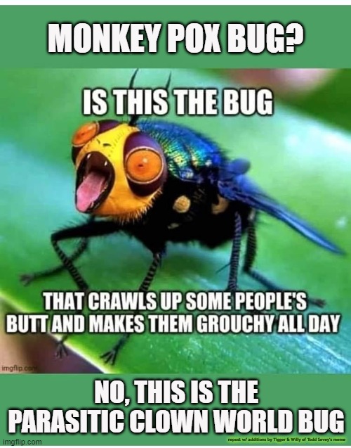 MONKEY POX BUG? NO, THIS IS THE PARASITIC CLOWN WORLD BUG; repost w/ additions by Tigger & Willy of Todd Sevey's meme | made w/ Imgflip meme maker