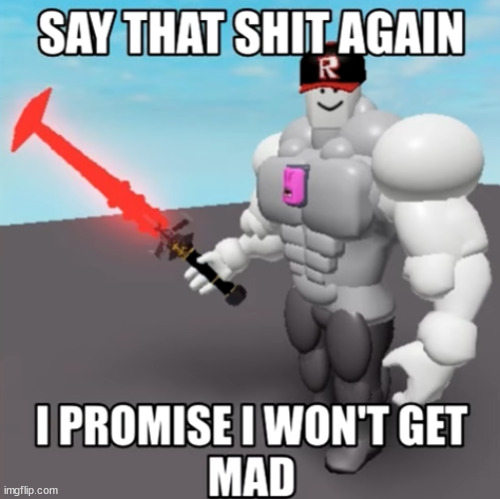 Roblox Say That S**t Again | image tagged in roblox say that s t again | made w/ Imgflip meme maker
