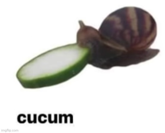 cucumper,, | image tagged in i want to rail radium | made w/ Imgflip meme maker