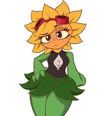 Destello solar Blank Meme Template