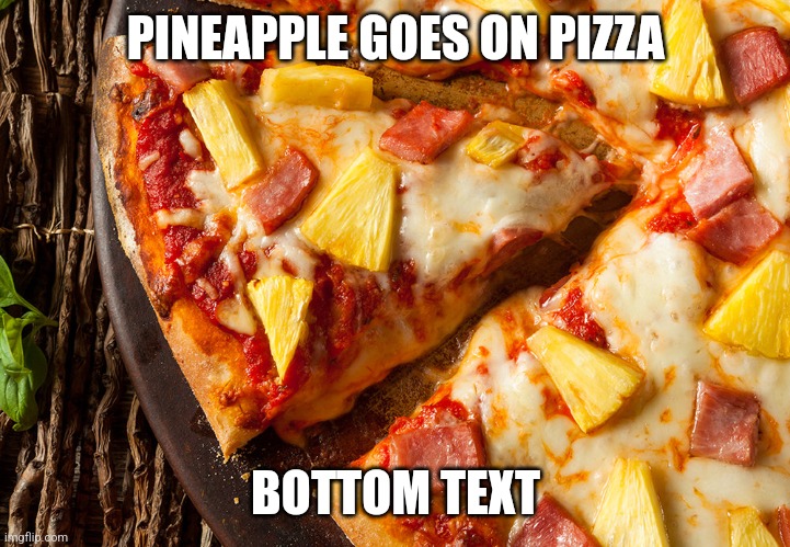 Pineappleonpizza | PINEAPPLE GOES ON PIZZA; BOTTOM TEXT | image tagged in pineappleonpizza | made w/ Imgflip meme maker