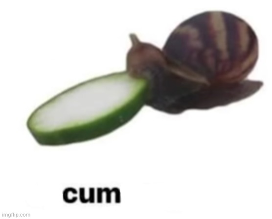 cucumper,, | image tagged in cucumper | made w/ Imgflip meme maker