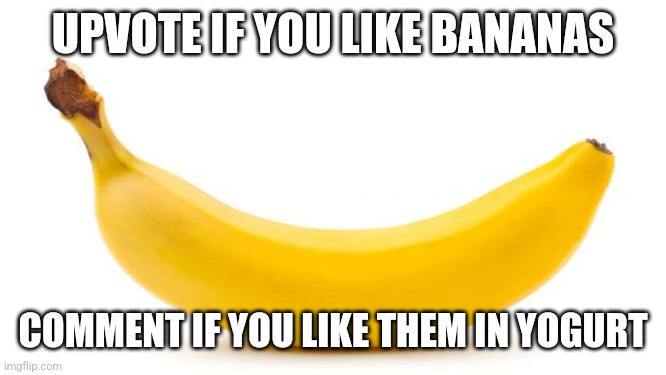 ignore/downvote/flag = you like rotten bananas | UPVOTE IF YOU LIKE BANANAS; COMMENT IF YOU LIKE THEM IN YOGURT | image tagged in banana | made w/ Imgflip meme maker