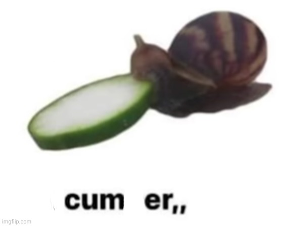 cucumper,, | image tagged in cucumper | made w/ Imgflip meme maker