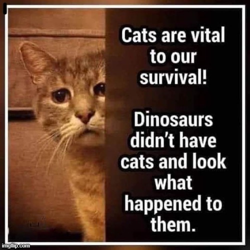 Dino`s without cats ! | image tagged in dead | made w/ Imgflip meme maker