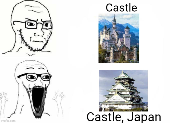 Place, Japan template | Castle; Castle, Japan | image tagged in place japan template | made w/ Imgflip meme maker