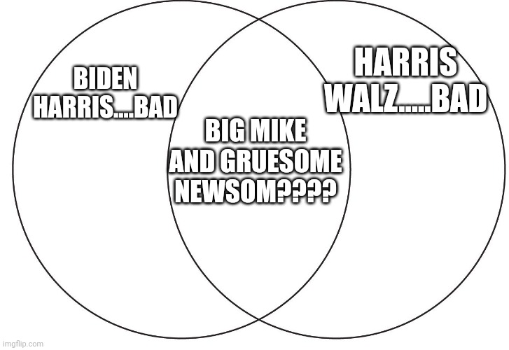 There will be 1 more change | HARRIS WALZ.....BAD; BIDEN HARRIS....BAD; BIG MIKE AND GRUESOME NEWSOM???? | image tagged in ven diagram | made w/ Imgflip meme maker