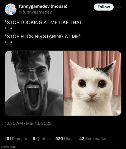 STOP LOOKING AT ME LIKE THAT | image tagged in stop looking at me like that | made w/ Imgflip meme maker