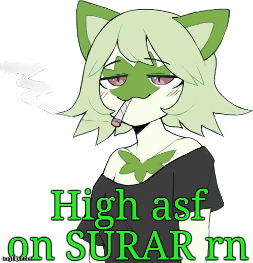 weed cat | High asf on SURAR rn | image tagged in weed cat | made w/ Imgflip meme maker