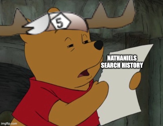 Winnie the Pooh reading | NATHANIELS SEARCH HISTORY | image tagged in winnie the pooh reading | made w/ Imgflip meme maker