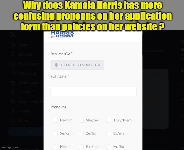 Kamala's 9 Pronoun Options (9)Campaign Policies (0) | Why does Kamala Harris has more confusing pronouns on her application form than policies on her website ? | image tagged in kamala's 9 pronoun options | made w/ Imgflip meme maker