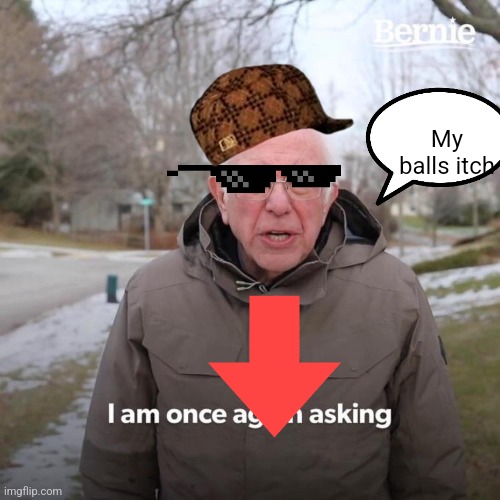 Bernie I Am Once Again Asking For Your Support Meme | My balls itch | image tagged in memes,bernie i am once again asking for your support | made w/ Imgflip meme maker