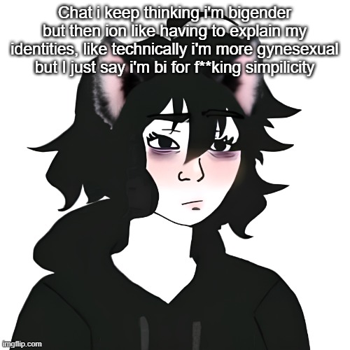 Catgirl wojak | Chat i keep thinking i'm bigender but then ion like having to explain my identities, like technically i'm more gynesexual but I just say i'm bi for f**king simpilicity | image tagged in catgirl wojak | made w/ Imgflip meme maker