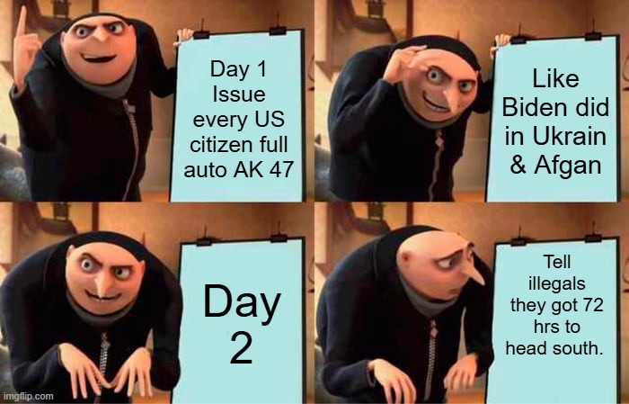 That would be fun. | Day 1 Issue every US citizen full auto AK 47; Like Biden did in Ukrain & Afgan; Tell illegals they got 72 hrs to head south. Day 2 | image tagged in memes,gru's plan | made w/ Imgflip meme maker