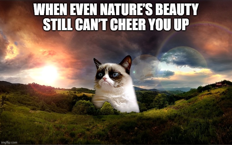 nature’s beauty | WHEN EVEN NATURE’S BEAUTY STILL CAN’T CHEER YOU UP | image tagged in memes | made w/ Imgflip meme maker