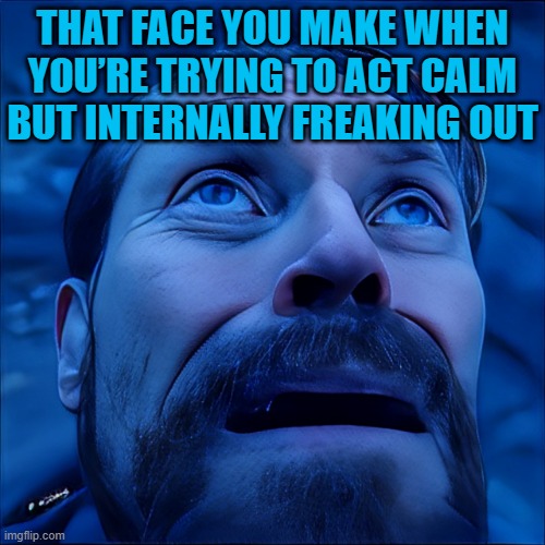 That feeling! | THAT FACE YOU MAKE WHEN YOU’RE TRYING TO ACT CALM BUT INTERNALLY FREAKING OUT | image tagged in memes | made w/ Imgflip meme maker