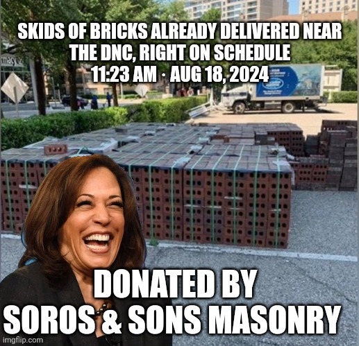 democrat convention | image tagged in kamala harris | made w/ Imgflip meme maker