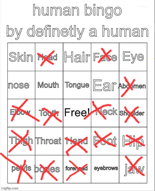 dude this bingo is skinless corpse-phobic wtf | image tagged in huh | made w/ Imgflip meme maker