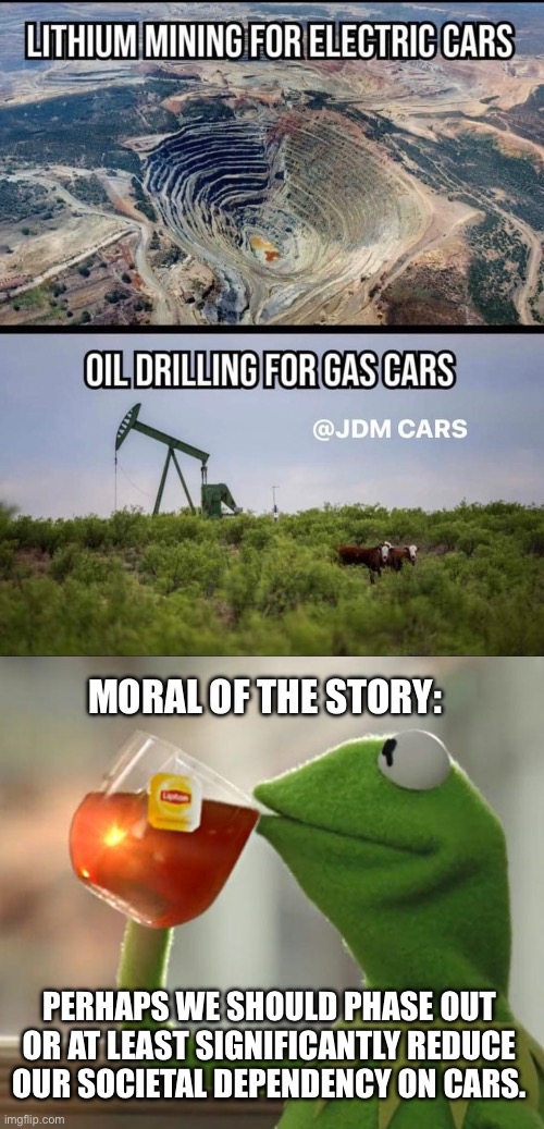 How about trains, everybody loves trains. | MORAL OF THE STORY:; PERHAPS WE SHOULD PHASE OUT OR AT LEAST SIGNIFICANTLY REDUCE OUR SOCIETAL DEPENDENCY ON CARS. | image tagged in memes,but that's none of my business,climate change,electric cars | made w/ Imgflip meme maker