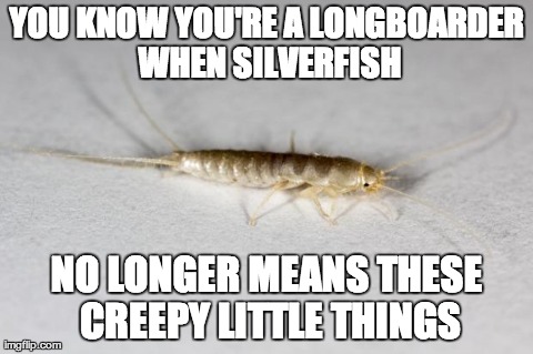 You know you're a longboarder when | YOU KNOW YOU'RE A LONGBOARDER WHEN SILVERFISH NO LONGER MEANS THESE CREEPY LITTLE THINGS | image tagged in silverfish,longboarding | made w/ Imgflip meme maker