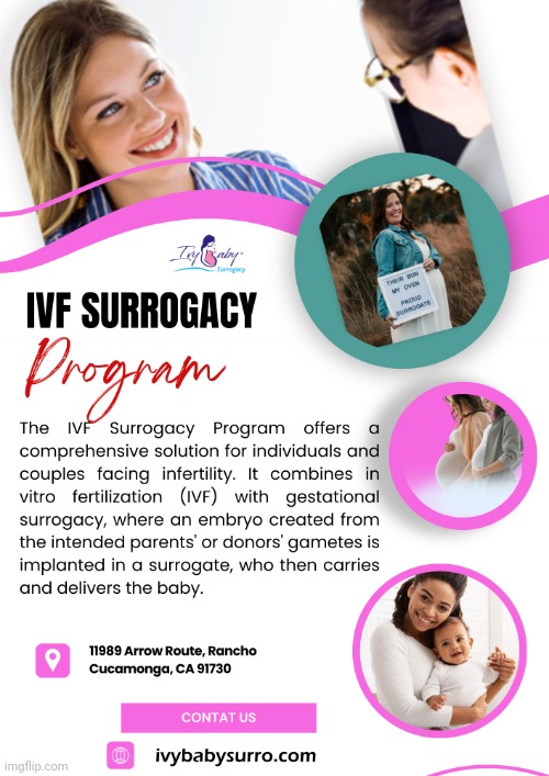 IvF Surrogacy Program | image tagged in ivf surrogacy program | made w/ Imgflip meme maker