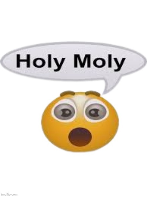 Holay Molay | image tagged in holay molay | made w/ Imgflip meme maker