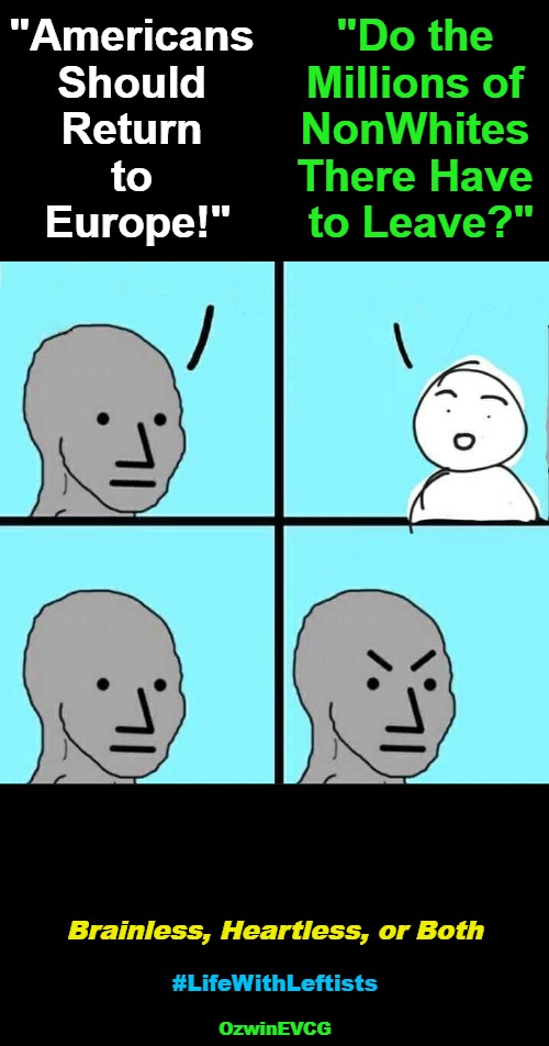 Brainless, Heartless, or... | "Americans 

Should 

Return 

to 

Europe!"; "Do the 

Millions of 

NonWhites 

There Have 

to Leave?"; Brainless, Heartless, or Both; #LifeWithLeftists; OzwinEVCG | image tagged in npc meme,liberal logic,life with leftists,antiwhite,double standard,colonialism | made w/ Imgflip meme maker