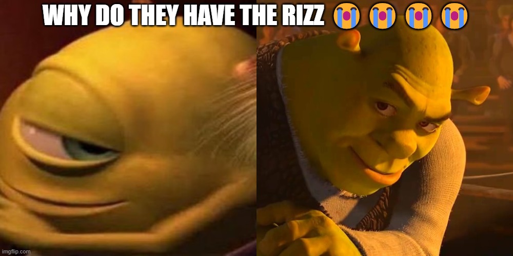 WHY DO THEY HAVE THE RIZZ 😭😭😭😭 | image tagged in rizz | made w/ Imgflip meme maker