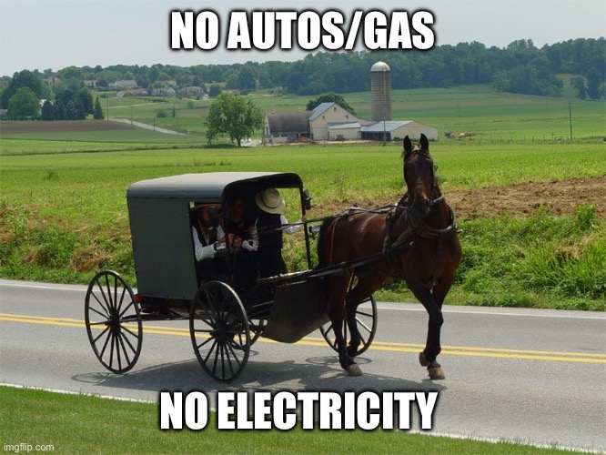 Amish Peeps | NO AUTOS/GAS NO ELECTRICITY | image tagged in amish peeps | made w/ Imgflip meme maker