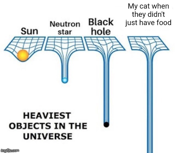 My cat who has not food | My cat when they didn't just have food | image tagged in heaviest objects in the universe,memes,funny | made w/ Imgflip meme maker