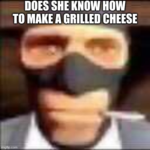 spi | DOES SHE KNOW HOW TO MAKE A GRILLED CHEESE | image tagged in spi | made w/ Imgflip meme maker