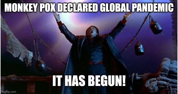 Mortal kombat | MONKEY POX DECLARED GLOBAL PANDEMIC; IT HAS BEGUN! | image tagged in it has begun | made w/ Imgflip meme maker