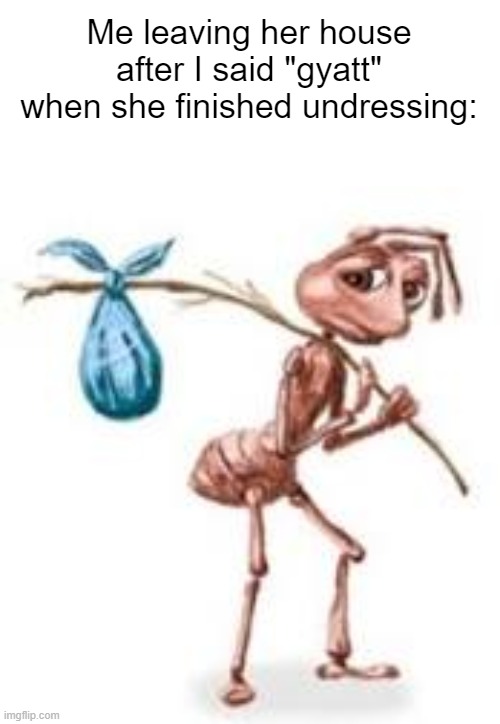 Sad ant with bindle | Me leaving her house after I said "gyatt" when she finished undressing: | image tagged in sad ant with bindle | made w/ Imgflip meme maker