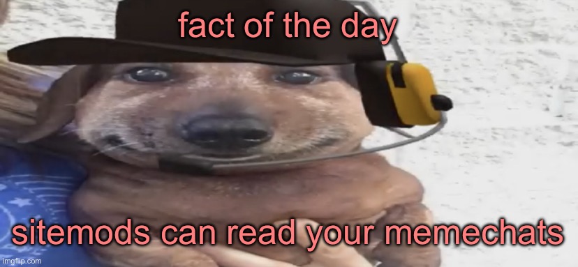 chucklenuts | fact of the day; sitemods can read your memechats | image tagged in chucklenuts | made w/ Imgflip meme maker