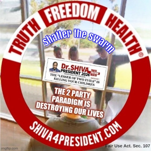 Shatter The Swarm | image tagged in shiva4president,truth,freedom,health,president 2024,shattertheswarm | made w/ Imgflip meme maker