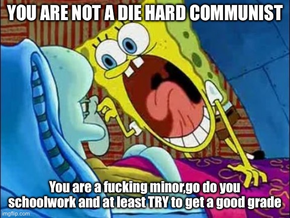 spongebob scream at squidward | YOU ARE NOT A DIE HARD COMMUNIST You are a fucking minor,go do you schoolwork and at least TRY to get a good grade | image tagged in spongebob scream at squidward | made w/ Imgflip meme maker