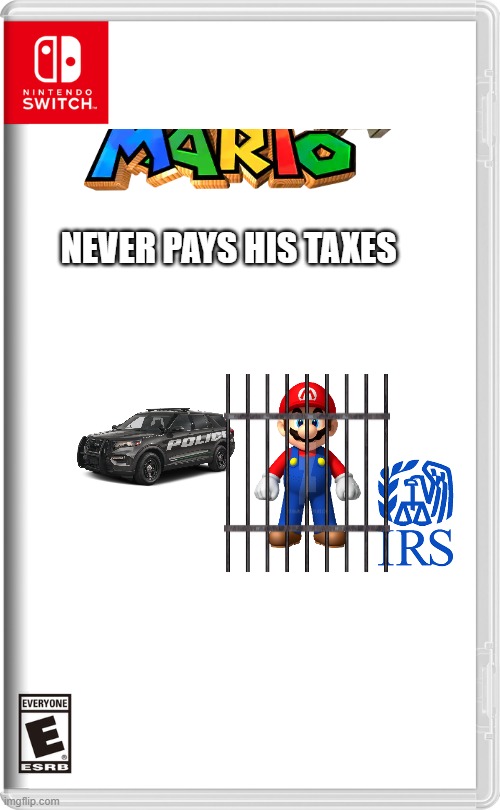 Nintendo Switch | NEVER PAYS HIS TAXES | image tagged in nintendo switch | made w/ Imgflip meme maker