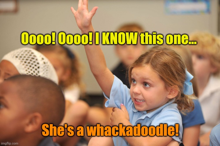 Hand raised | Oooo! Oooo! I KNOW this one... She's a whackadoodle! | image tagged in hand raised | made w/ Imgflip meme maker