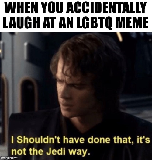 It’s not the Jedi way | WHEN YOU ACCIDENTALLY
LAUGH AT AN LGBTQ MEME | image tagged in it s not the jedi way | made w/ Imgflip meme maker