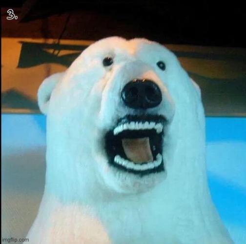 Horrified Polar Bear | image tagged in horrified polar bear | made w/ Imgflip meme maker