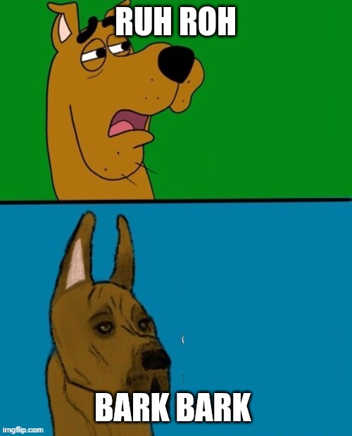 scooby doo | RUH ROH; BARK BARK | image tagged in scooby doo,dogs | made w/ Imgflip meme maker