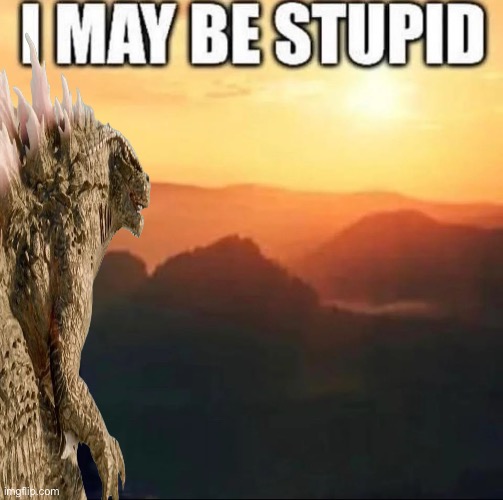 I may be stupid | image tagged in i may be stupid | made w/ Imgflip meme maker