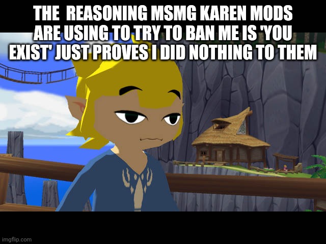 High Toon Link | THE  REASONING MSMG KAREN MODS ARE USING TO TRY TO BAN ME IS 'YOU EXIST' JUST PROVES I DID NOTHING TO THEM | image tagged in high toon link | made w/ Imgflip meme maker