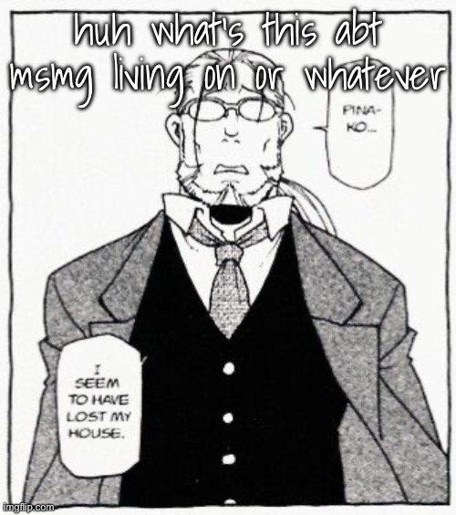 hoenheim | huh what’s this abt msmg living on or whatever | image tagged in hoenheim | made w/ Imgflip meme maker