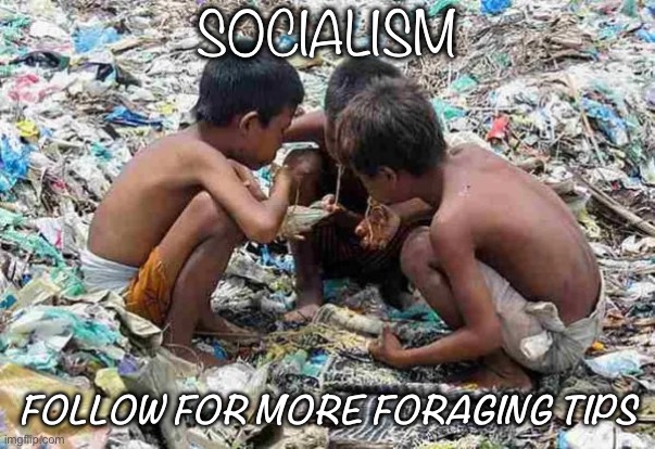 Socialism | SOCIALISM; FOLLOW FOR MORE FORAGING TIPS | image tagged in socialism | made w/ Imgflip meme maker