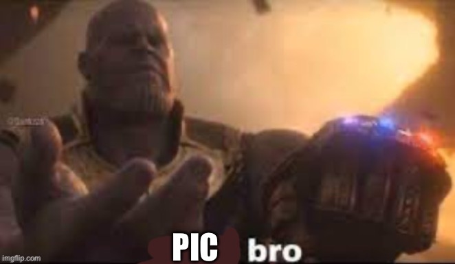 x bro | PIC | image tagged in x bro | made w/ Imgflip meme maker