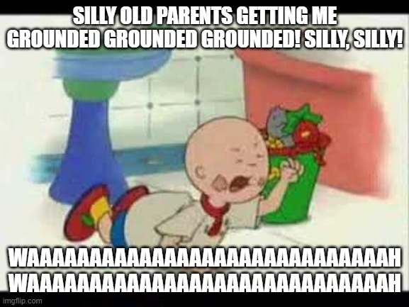 Kayloo has had enough | SILLY OLD PARENTS GETTING ME GROUNDED GROUNDED GROUNDED! SILLY, SILLY! WAAAAAAAAAAAAAAAAAAAAAAAAAAAAAH
WAAAAAAAAAAAAAAAAAAAAAAAAAAAAAH | image tagged in caillou's tantrum,grounded,caillou,kayloo | made w/ Imgflip meme maker